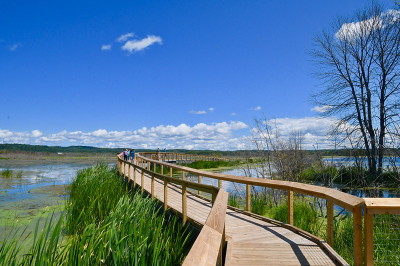 Arcadia Marsh Nature Trail